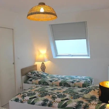 L'esprit De Lourdes, Proche Sanctuaire Et Gare, Vue Sur Le Chateau Apartmán *