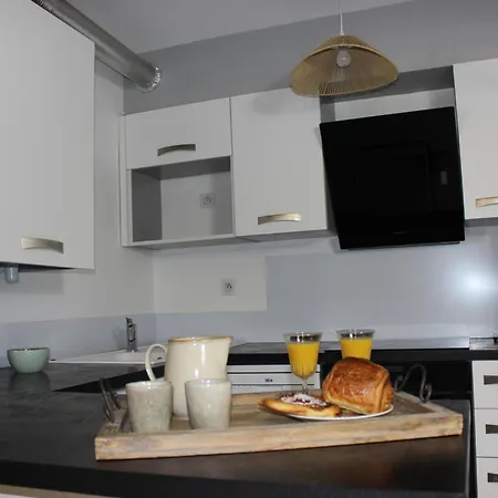 Apartmán L'esprit De Lourdes, Proche Sanctuaire Et Gare, Vue Sur Le Chateau *